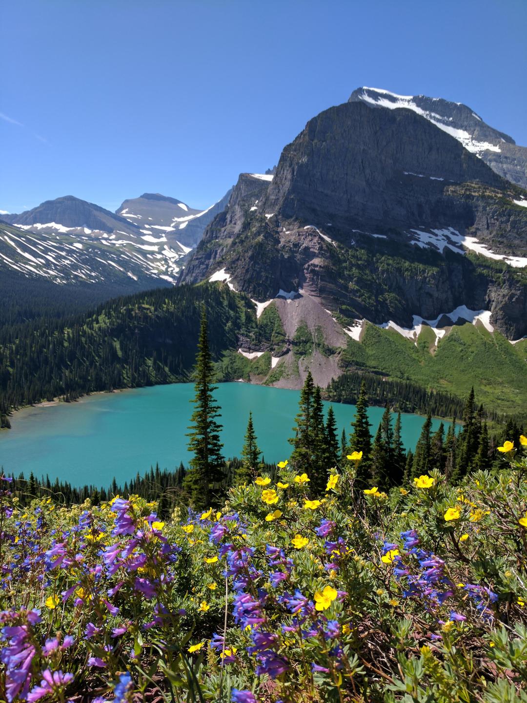 Летний тур «Бархатные&nbsp;краски&nbsp;Алтая»